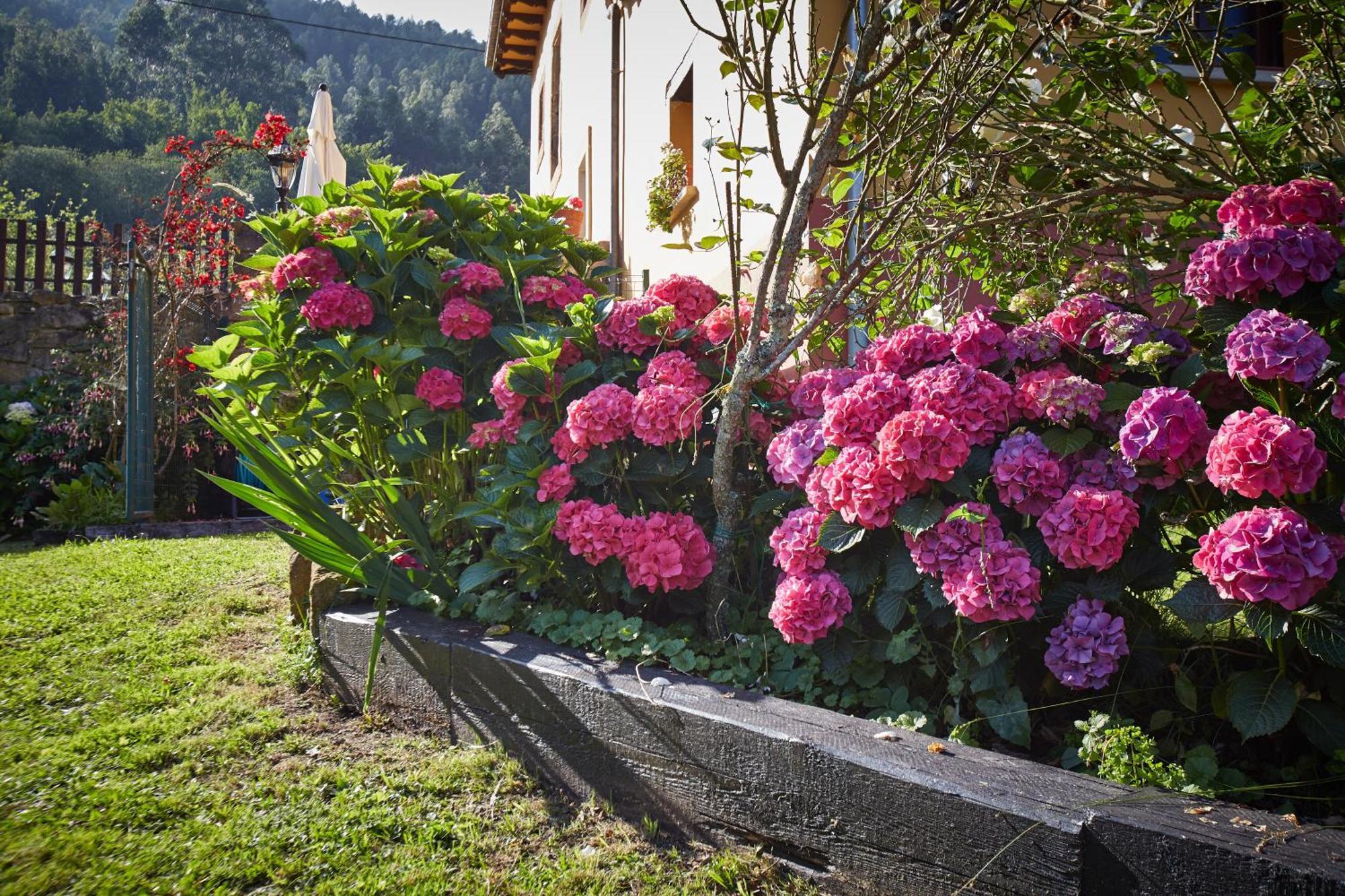 Casa Rural Casa Capion Вальявисьоса Экстерьер фото
